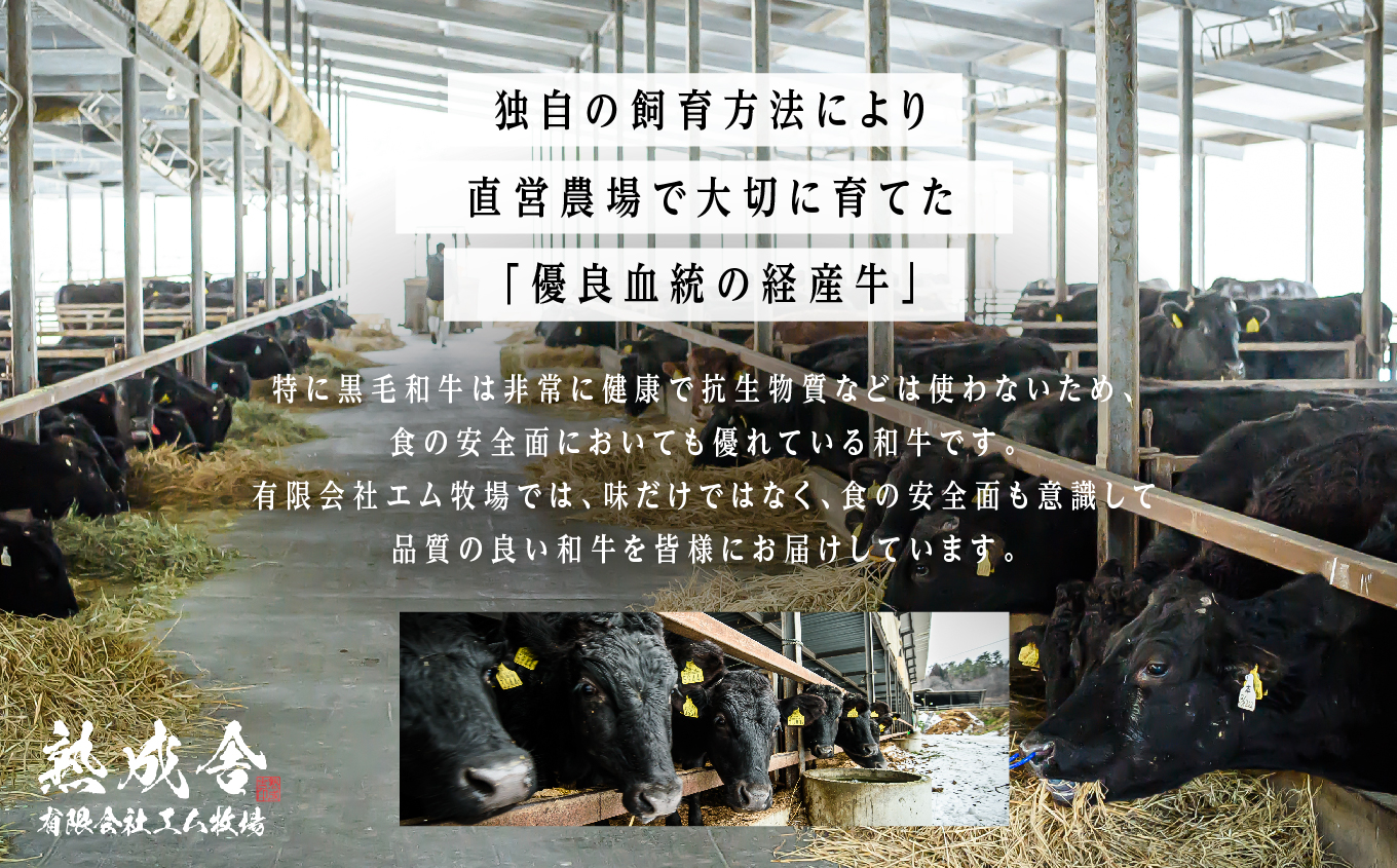 ã黿¯åçãçæåçãçŒèã»ãã ç¬ (ãã¿) çŠå³¶çäºæ¬æŸåžç£ 黿¯ åç å³éž è çè ç åœç£ç åœç£ 赀身 è身 äººæ° ã©ã³ãã³ã° ãããã ã®ãã æ
é· ãµãããš çŽçš çŠå³¶ ãµãããŸ äºæ¬æŸåž éæç¡æãæéäŒç€Ÿãšã ç§å Žã