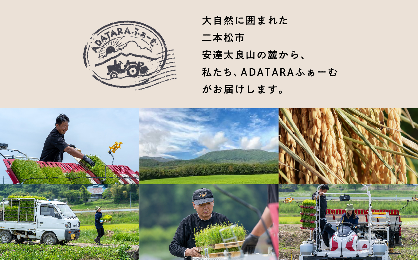 令和7年産【定期便3ヶ月】コシヒカリ玄米5kg 玄米 コシヒカリ 定期便 定期便3ヶ月 米 5kg 15kg お米 おいしい おすすめ お中元 お歳暮 ギフト 二本松市 ふくしま 福島県 送料無料【ADATARAふぁーむ】