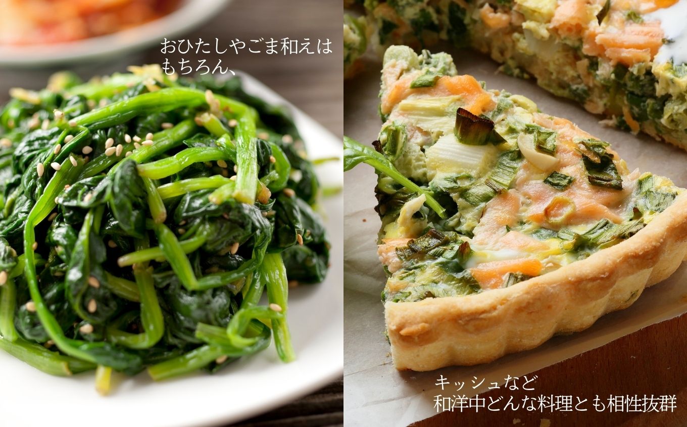 《2027年1月中旬より順次発送》寒ちぢみほうれん草2kg ホウレンソウ 炒め物 おひたし 胡麻和え 野菜 ヤサイ 新鮮 産地直送 新鮮野菜 白和え おすすめ お中元 お歳暮 ギフト 二本松市 ふくしま 福島県 送料無料【西谷さとう農園】