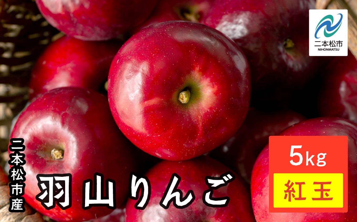 《2026年10月中旬以降順次発送》羽山のりんご 紅玉 5kg りんご リンゴ 林檎 旬 フルーツ 果物 食感 新鮮 甘い 甘み 酸味 グルメ おいしい 人気 ランキング おすすめ ギフト 福島 ふくしま 二本松市 送料無料【羽山果樹組合】