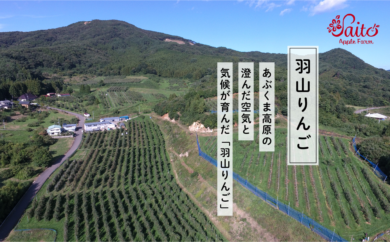 ã2026幎2æä»¥éé æ¬¡çºéã矜山ããããžã¥ãŒã¹ ç¡æ·»å ææ±100%ïŒãµãïŒ 1000ml 6æ¬ã»ãã ããããžã¥ãŒã¹ ããã ãªã³ãŽ äººæ° ã©ã³ãã³ã° ãããã ã®ãã æ
é· ãµãããš çŽçš çŠå³¶ ãµãããŸ äºæ¬æŸåž éæç¡æãæè€ãããåã