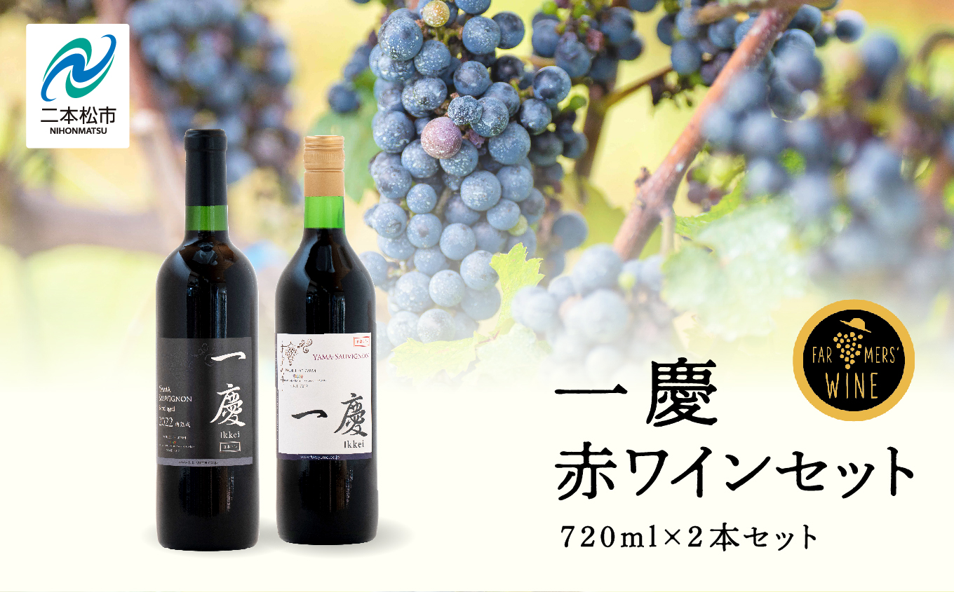 一慶 赤ワインセット ワイン 飲みやすい 赤ワイン お酒 グルメ プレゼント 人気 ランキング おすすめ ギフト 故郷 ふるさと 納税 福島 ふくしま 二本松市 送料無料【ふくしま農家の夢ワイン株式会社】