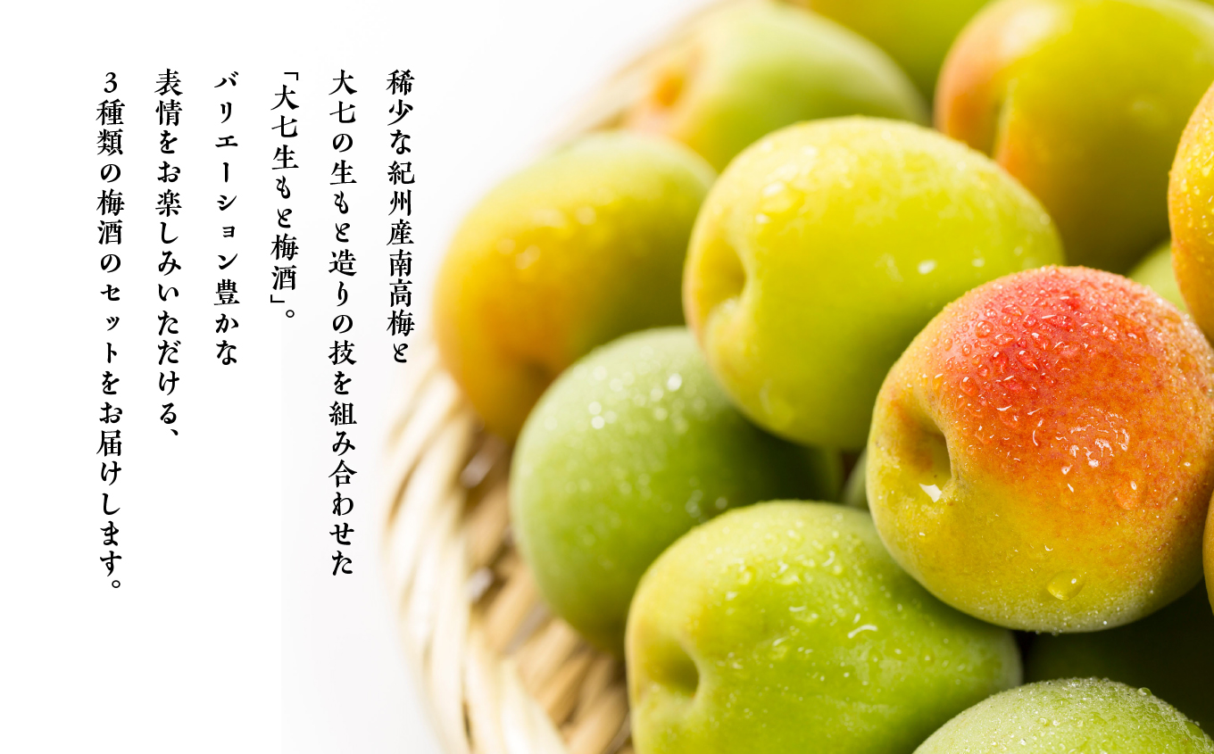 《2025年11月下旬以降順次発送》大七酒造 梅酒飲み比べセット「生もと梅酒 極上品720ml」「生もと梅酒300ml」「生もと梅酒シルキースパークリング300ml」合計3本【道の駅安達】 酒 お酒 梅酒 人気 ランキング おすすめ ふるさと 納税 福島 ふくしま 二本松市 送料無料【道の駅「安達」智恵子の里】