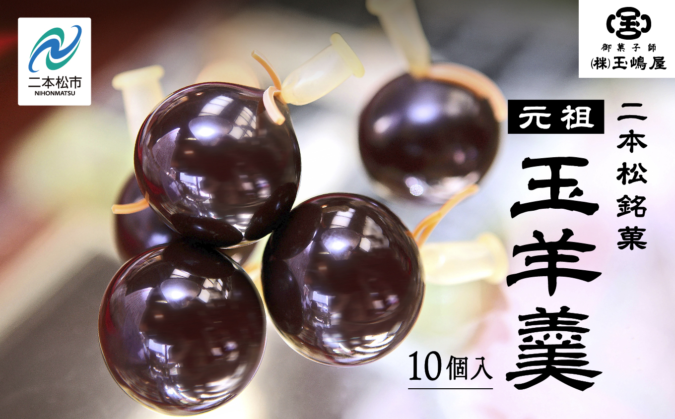 二本松の名物 銘菓《玉嶋屋の玉羊羹》10個入り 羊羹 ようかん 玉羊羹 銘菓 玉嶋屋 和菓子 餡子 あんこ おすすめ お中元 お歳暮 ギフト 二本松市 ふくしま 福島県 送料無料【株式会社玉嶋屋】