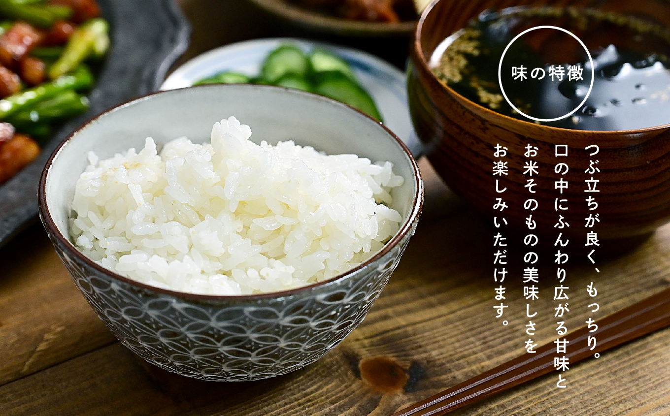 什å7幎ç£ãå®æäŸ¿3ã¶æãã³ã·ãã«ãªç²Ÿç±³5kg å®çèå§«ç±³ ç±³ 粟米 ã³ã·ãã«ãª 5kg éæç¡æ ç¹å¥æ œå¹ å®æäŸ¿ ãç±³ ãã ãããã ãäžå
ãæ³æ® ã®ãã äºæ¬æŸåž ãµãã㟠çŠå³¶ç éæç¡æãADATARAãµããŒãã