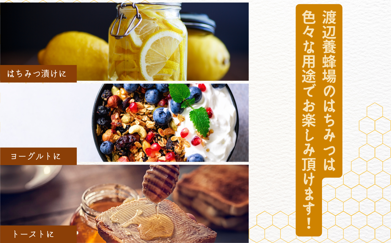 幎å
çºéå¯èœïŒïŒèªå®¶æ¡ãåœç£ 倩ç¶çæã¢ã«ã·ã€å·£è èè ã¯ã¡ã¿ã€ ãããã ã¢ã«ã·ã€ ã¢ã«ã·ã¢ åœç£ ãã㌠ã³ã ãã㌠巣è å·£ã¿ã€ å€©ç¶ ç¡æ·»å ãããã ãäžå
ãæ³æ® ã®ãã äºæ¬æŸåž ãµãã㟠çŠå³¶ç éæç¡æãæ ªåŒäŒç€Ÿæž¡èŸºé€èå Žã