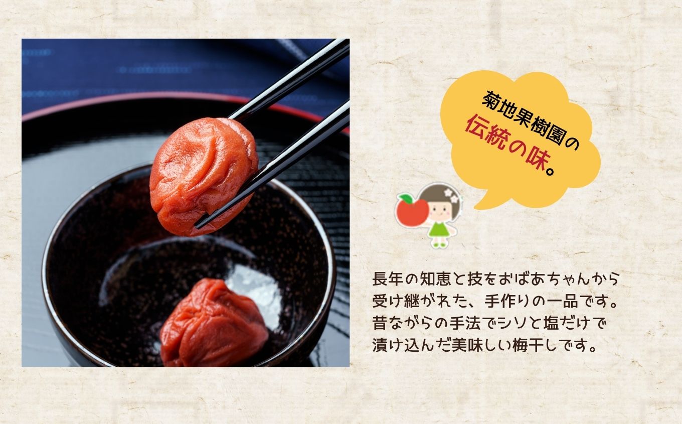 昔ながらの美味しい梅干し4個セット 梅干し 漬物 手作り 梅 人気 うめぼし 家庭用 セット しそ梅 おすすめ お中元 お歳暮 ギフト 二本松市 ふくしま 福島県 送料無料【菊地合名会社】