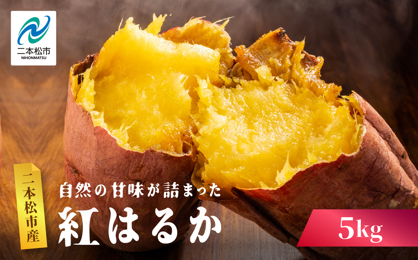 自然の甘みがぎゅっと詰まった さつまいも 紅はるか 5kg 焼き芋 スイーツ 冷凍 やきいも  野菜 サツマイモ 農家直送 新鮮 いも イモ おすすめ お中元 お歳暮 ギフト 二本松市 ふくしま 福島県 送料無料【株式会社橋本】