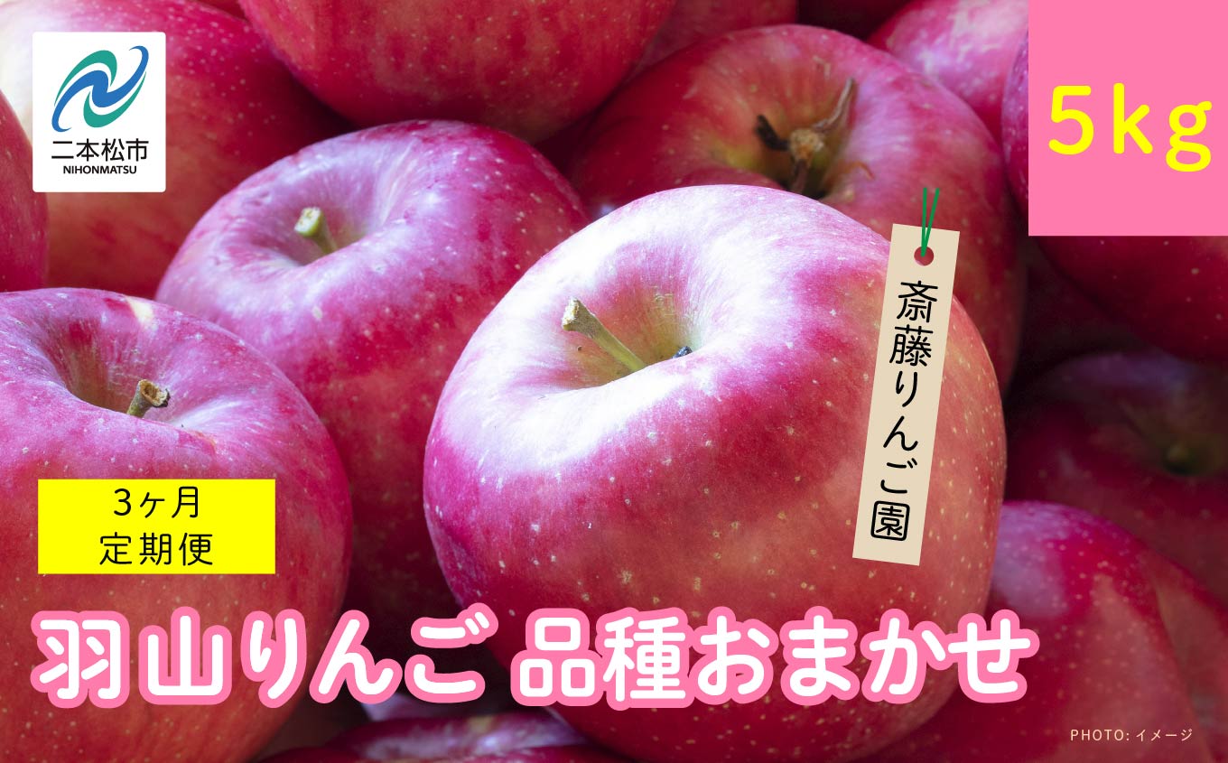 [3ヶ月定期便]品種おまかせ!羽山のりんご5kg×3回 りんご リンゴ 果物 フルーツ 羽山りんご 5kg 早生 人気 くだもの おすすめ お中元 お歳暮 ギフト 二本松市 ふくしま 福島県 送料無料[斎藤りんご園]