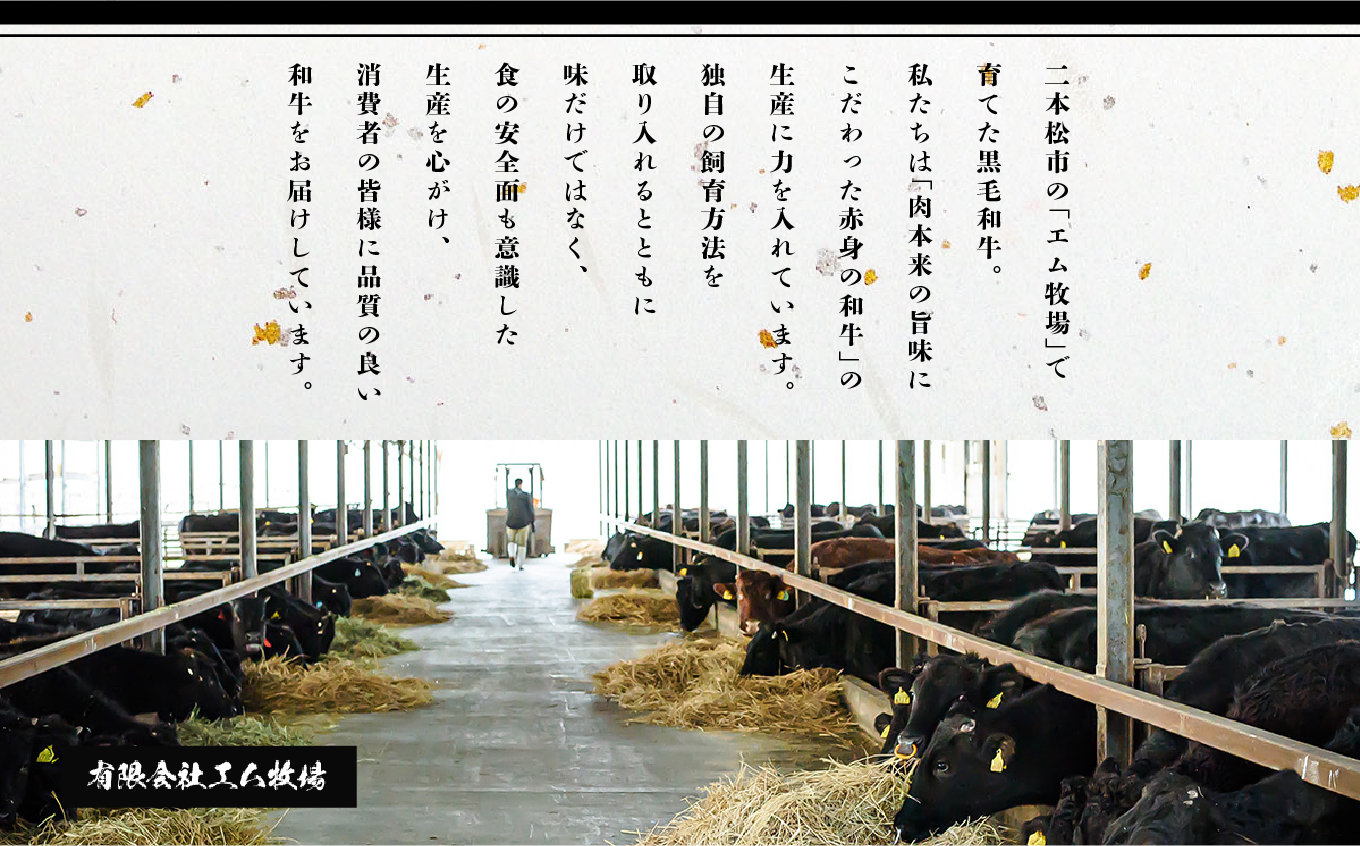 黒毛和牛 サーロインステーキ 2枚 300g 福島県二本松市産 黒毛 和牛 厳選 肉 牛肉 牛 国産牛 国産 赤身 脂身 旨味 真空パック 急速冷凍 小分け エム牧場 人気 おすすめ ふるさと 納税 福島 ふくしま【株式会社コーシン】