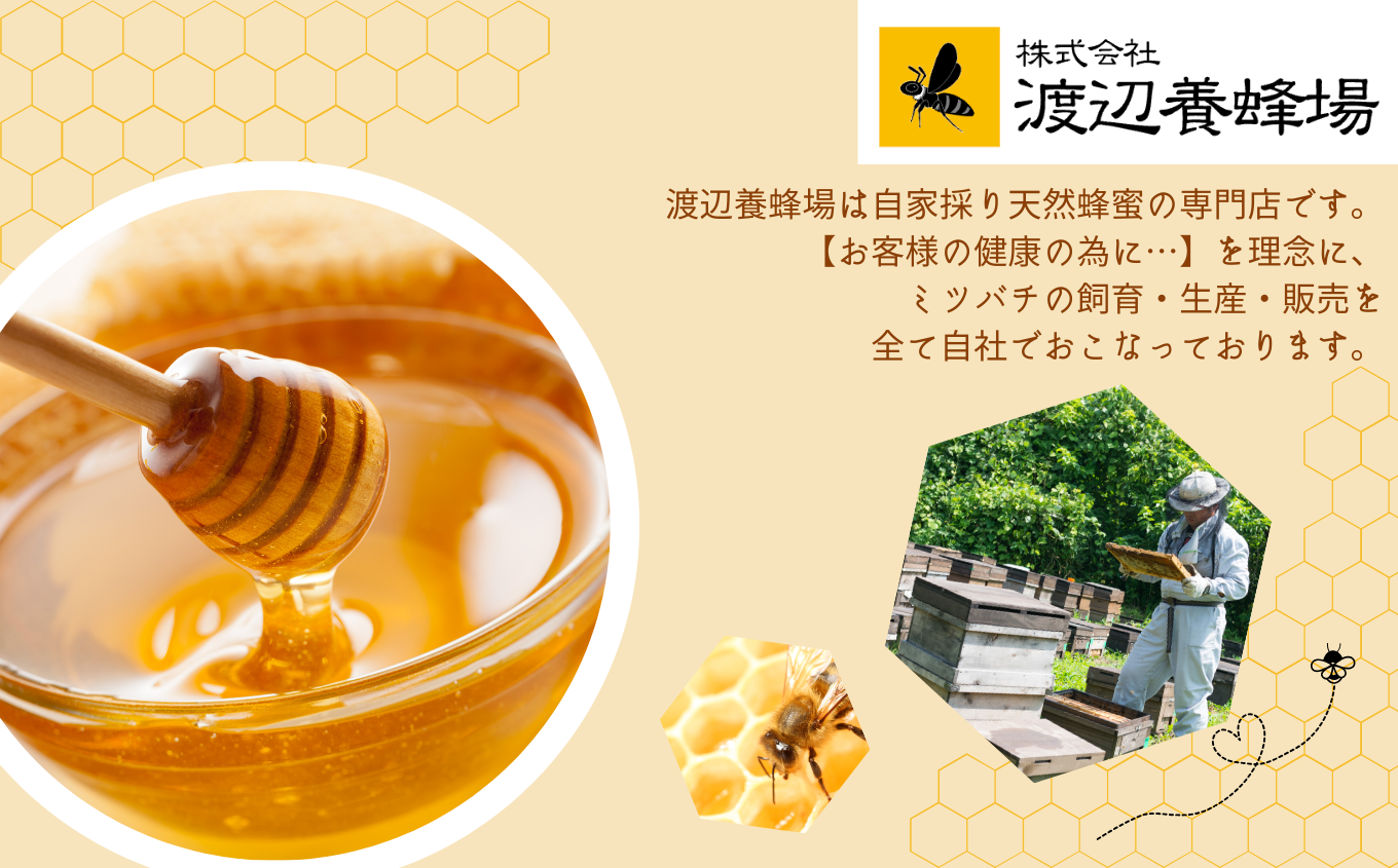 幎å
çºéå¯èœïŒïŒèªå®¶æ¡ãåœç£ 倩ç¶çæã¢ã«ã·ã€å·£è èè ã¯ã¡ã¿ã€ ãããã ã¢ã«ã·ã€ ã¢ã«ã·ã¢ åœç£ ãã㌠ã³ã ãã㌠巣è å·£ã¿ã€ å€©ç¶ ç¡æ·»å ãããã ãäžå
ãæ³æ® ã®ãã äºæ¬æŸåž ãµãã㟠çŠå³¶ç éæç¡æãæ ªåŒäŒç€Ÿæž¡èŸºé€èå Žã