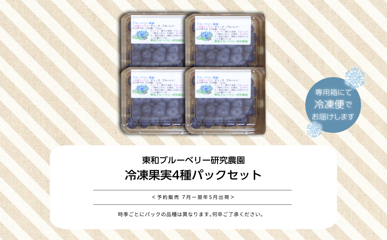 《2025年7月以降順次発送》東京農工大学名誉教授「横山　正」ブランドのブルーベリー冷凍果実500g（4パック）セット（品種おまかせ） ブルーベリー フルーツ 果物 冷凍果実 おすすめ お中元 お歳暮 ギフト 二本松市 ふくしま 福島県 送料無料【東和ブルーベリー研究農園】