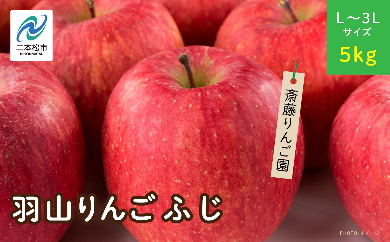 《2026年11月下旬以降順次》羽山のりんご　ふじL〜3Lサイズ5kg りんご リンゴ 果物 フルーツ 羽山りんご 5kg ふじ 人気 くだもの おすすめ お中元 お歳暮 ギフト 二本松市 ふくしま 福島県 送料無料【斎藤りんご園】