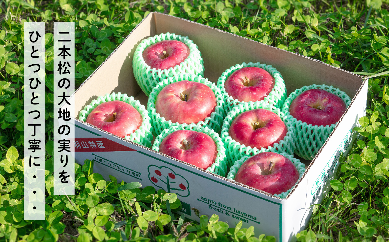 ã2026幎2æä»¥éé æ¬¡çºéã矜山ããããžã¥ãŒã¹ ç¡æ·»å ææ±100%ïŒãµãïŒ 1000ml 6æ¬ã»ãã ããããžã¥ãŒã¹ ããã ãªã³ãŽ äººæ° ã©ã³ãã³ã° ãããã ã®ãã æ
é· ãµãããš çŽçš çŠå³¶ ãµãããŸ äºæ¬æŸåž éæç¡æãæè€ãããåã