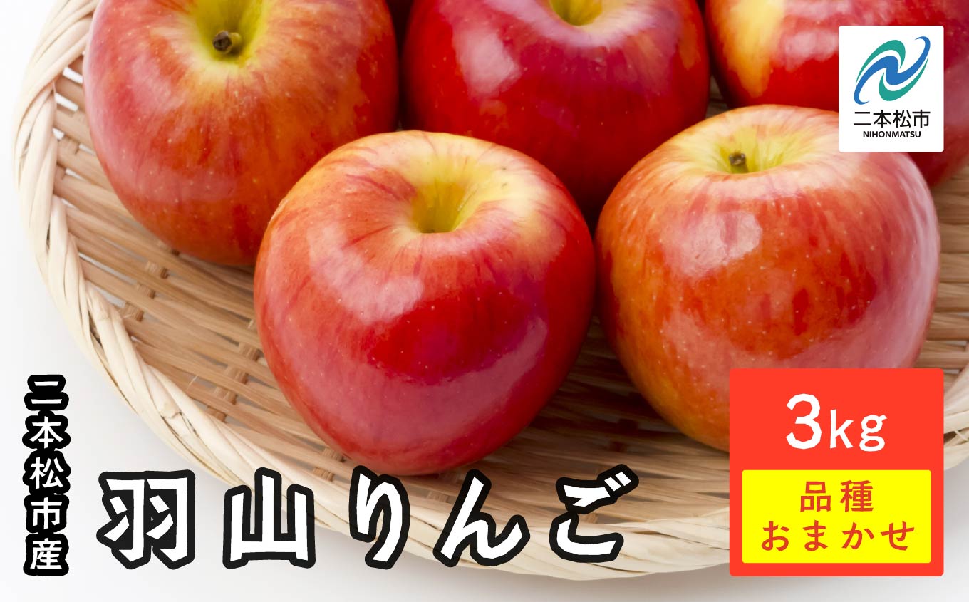 《2026年9月下旬以降順次発送》羽山りんご 品種おまかせ(早生・中早生)  3? りんご リンゴ 林檎 国産りんご フルーツ 果物 人気 ランキング おすすめ ギフト 故郷 ふるさと 納税 福島 ふくしま 二本松市 送料無料【羽山果樹組合】