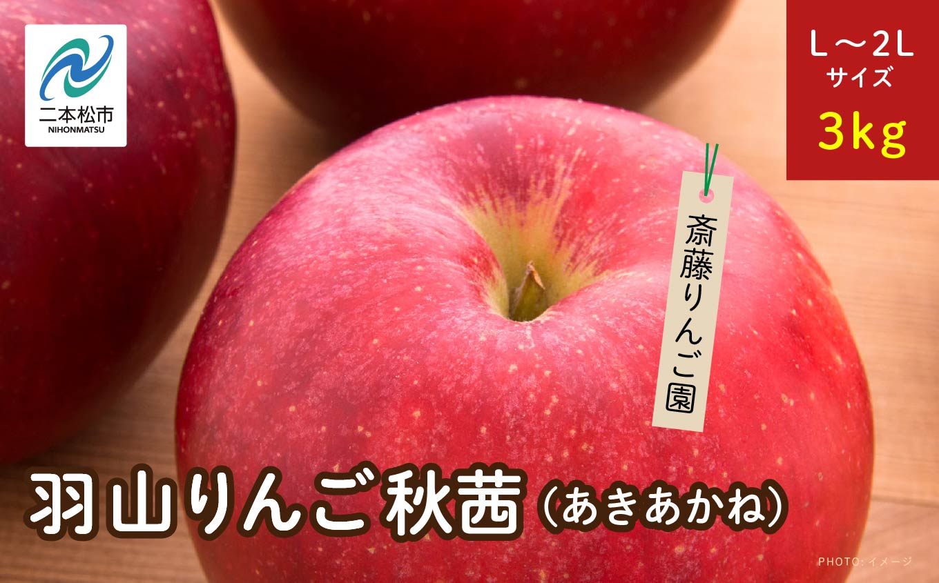《2026年10月下旬以降順次発送》羽山のりんご　秋茜L〜2Lサイズ3kg りんご リンゴ 果物 フルーツ 羽山りんご 3kg 秋茜 人気 くだもの おすすめ お中元 お歳暮 ギフト 二本松市 ふくしま 福島県 送料無料【斎藤りんご園】