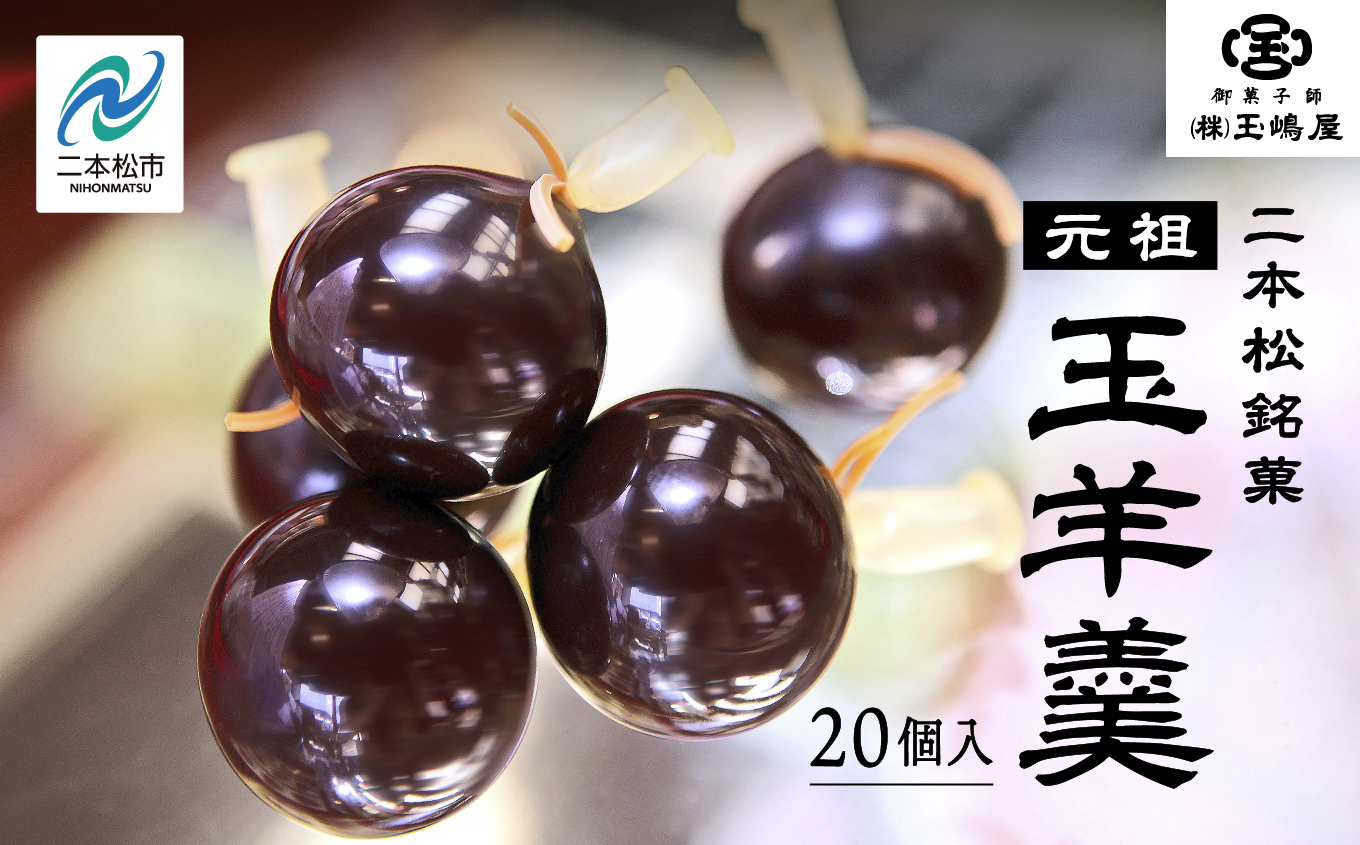 二本松の名物 銘菓《玉嶋屋の玉羊羹》20個入り 羊羹 ようかん 玉羊羹 銘菓 玉嶋屋 和菓子 餡子 あんこ おすすめ お中元 お歳暮 ギフト 二本松市 ふくしま 福島県 送料無料【株式会社玉嶋屋】