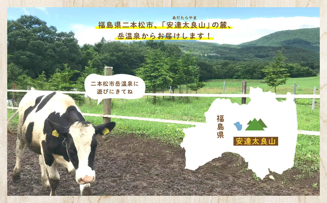 福島県あだたら高原 岳温泉で人気のお店 風花のいちごのレアチーズ（4号） チーズケーキ スイーツ 人気 ランキング おすすめ ギフト 故郷 ふるさと 納税 福島 ふくしま 二本松市 送料無料【チーズケーキ工房風花】