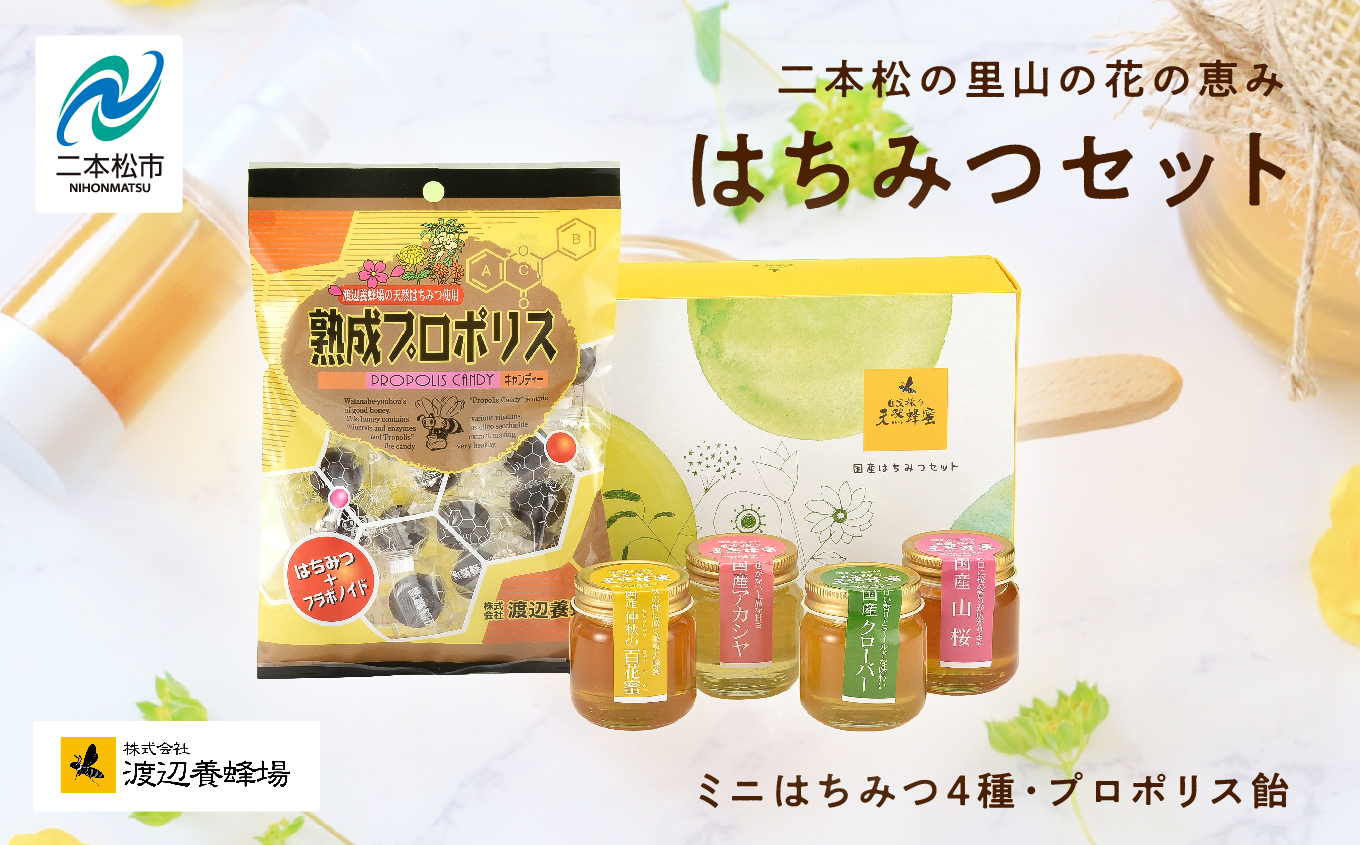 はちみつセット 渡辺養蜂場「ミニはちみつセット50g×4種」「プロポリス飴1袋」 はちみつ 調味料 人気 ランキング おすすめ ギフト 故郷 ふるさと 納税 福島 ふくしま 二本松市 送料無料[道の駅「安達」智恵子の里]