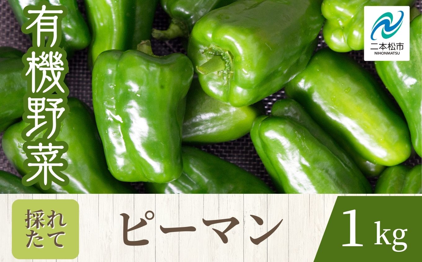 《2026年8月以降順次発送》ピーマン1kg オーガニック 有機栽培 有機 有機JAS 有機野菜 野菜 ピーマン ぴーまん 1kg おすすめ お中元 お歳暮 ギフト 二本松市 ふくしま 福島県 送料無料【一般社団法人二本松有機農業研究会】