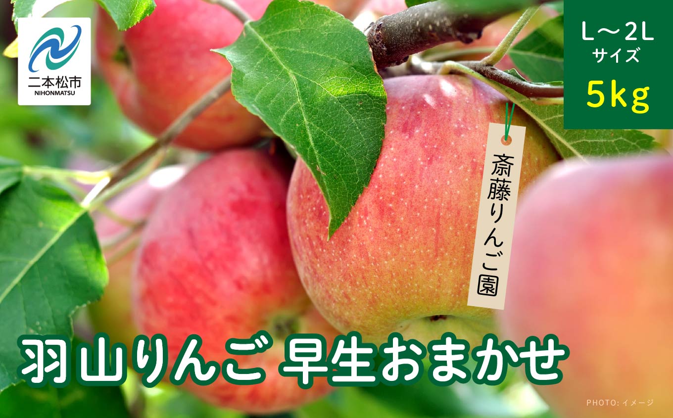 《2026年8月下旬以降順次発送》羽山のりんご　早生おまかせL〜2Lサイズ5kg りんご リンゴ 果物 フルーツ 羽山りんご 5kg 早生 人気 くだもの おすすめ お中元 お歳暮 ギフト 二本松市 ふくしま 福島県 送料無料【斎藤りんご園】