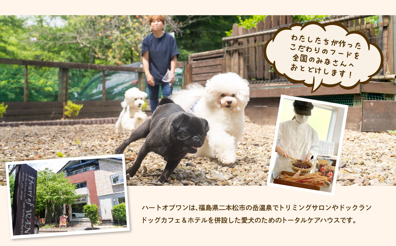 ペットのおやつ 馬肺スティック 5袋セット  愛犬 ワンちゃん ペットフード 犬 馬肉 子犬 老犬 国産 おやつ ペットのおやつ わんちゃん 会津産 ドッグフード おすすめ お中元 お歳暮 ギフト 二本松市 ふくしま 福島県 送料無料【株式会社ハートオブワン】