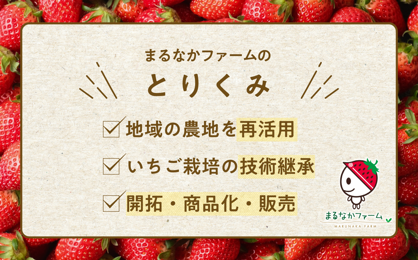 《2026年1月3日～5月23日開園》いちご狩りペア入場チケットいちご狩りペア入場チケット いちご ストロベリー いちご狩り 苺 イチゴ フルーツ 果物 おすすめ お中元 お歳暮 ギフト 二本松市 ふくしま 福島県 送料無料【まるなかファーム株式会社】