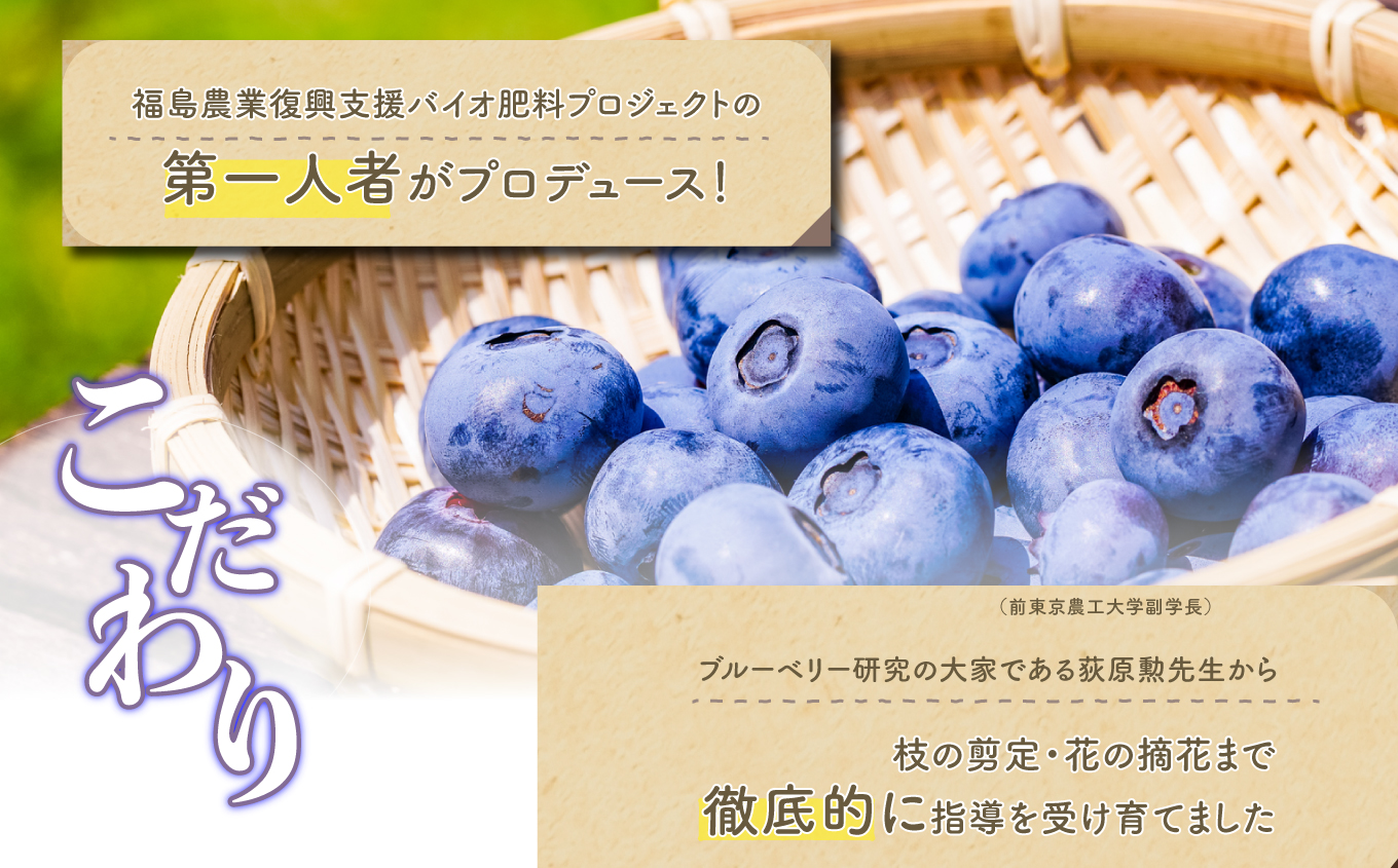 東京農工大学名誉教授「横山　正」ブランドのブルーベリージャム 「BON」と「SOLEIL」食べ比べ2個セット ブルーベリー ジャム フルーツ 果物 東京農工大学 名誉教授 おすすめ お中元 お歳暮 ギフト 二本松市 ふくしま 福島県 送料無料【東和ブルーベリー研究農園】