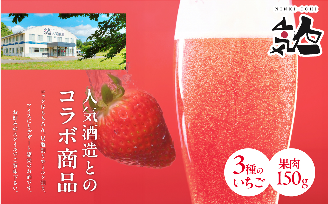 まるなかファーム×人気酒造 Koichigoリキュール 300ml×1本 いちご 酒 リキュール liqueur ストロベリー 日本酒 セット 苺 イチゴ フルーツ 果物 おすすめ お中元 お歳暮 ギフト 二本松市 ふくしま 福島県 送料無料【まるなかファーム株式会社】