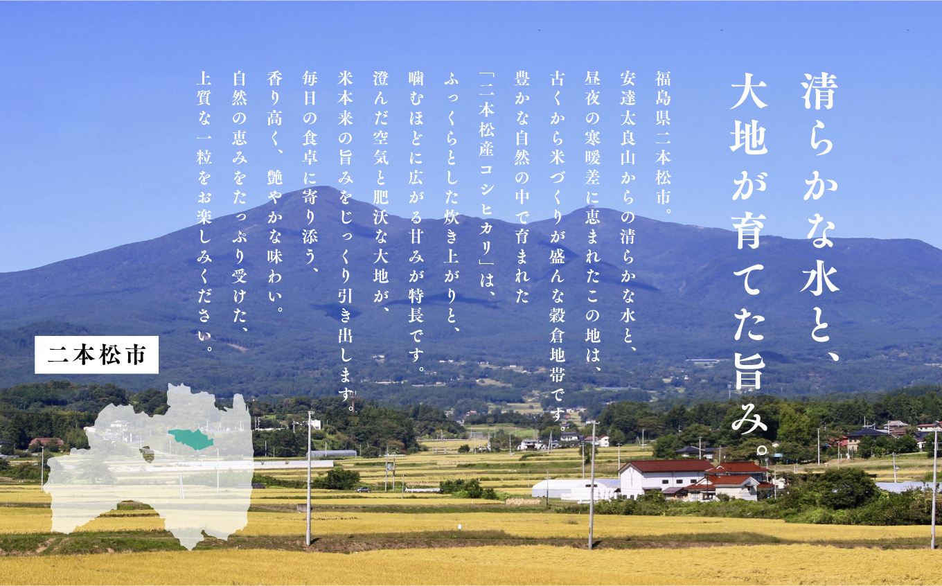 縲頑眠邀ウ蜈郁。御コ育エ縲九蝉サ、蜥8蟷エ逕」縲醍ヲ丞ウカ逵檎肇縺薙@縺イ縺九j 逋ス邀ウ 20kg 譬ェ蠑丈シ夂、セ縺ゅ□縺溘i邀ウ 莠梧悽譚セ蟶