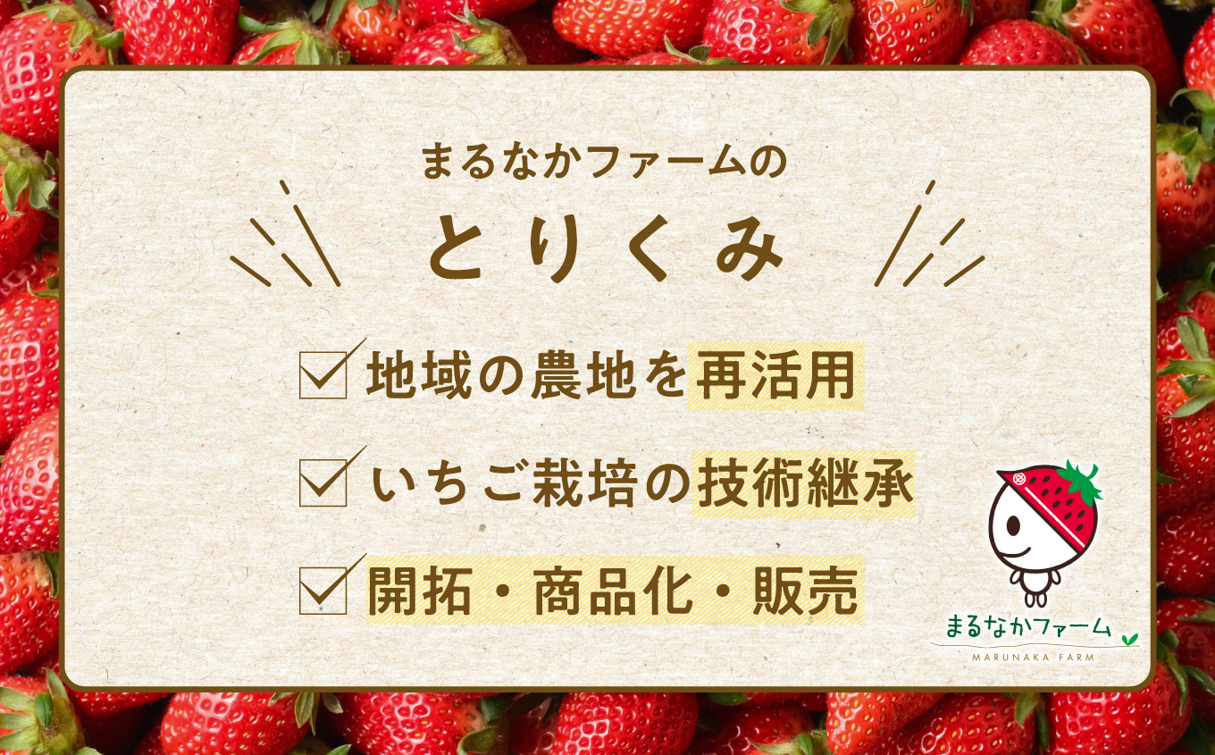 まるなかファーム×人気酒造 Koichigoリキュール 300ml×1本 いちご 酒 リキュール liqueur ストロベリー 日本酒 セット 苺 イチゴ フルーツ 果物 おすすめ お中元 お歳暮 ギフト 二本松市 ふくしま 福島県 送料無料【まるなかファーム株式会社】