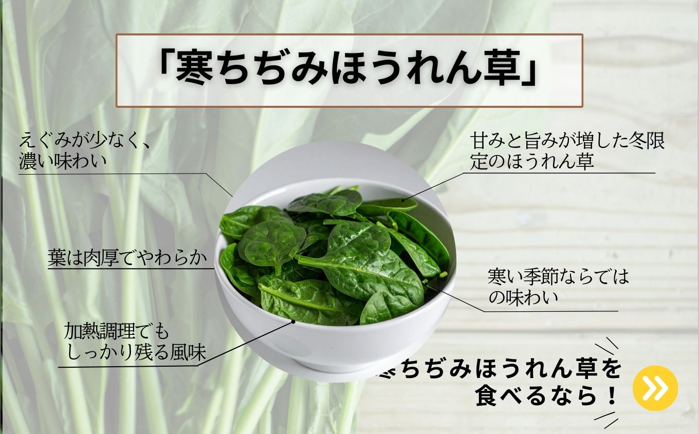 《2027年1月中旬より順次発送》寒ちぢみほうれん草2kg ホウレンソウ 炒め物 おひたし 胡麻和え 野菜 ヤサイ 新鮮 産地直送 新鮮野菜 白和え おすすめ お中元 お歳暮 ギフト 二本松市 ふくしま 福島県 送料無料【西谷さとう農園】