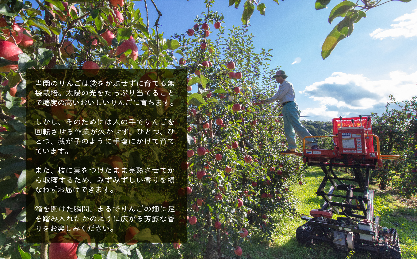 ã2026幎2æä»¥éé æ¬¡çºéã矜山ããããžã¥ãŒã¹ ç¡æ·»å ææ±100%ïŒãµãïŒ 1000ml 6æ¬ã»ãã ããããžã¥ãŒã¹ ããã ãªã³ãŽ äººæ° ã©ã³ãã³ã° ãããã ã®ãã æ
é· ãµãããš çŽçš çŠå³¶ ãµãããŸ äºæ¬æŸåž éæç¡æãæè€ãããåã