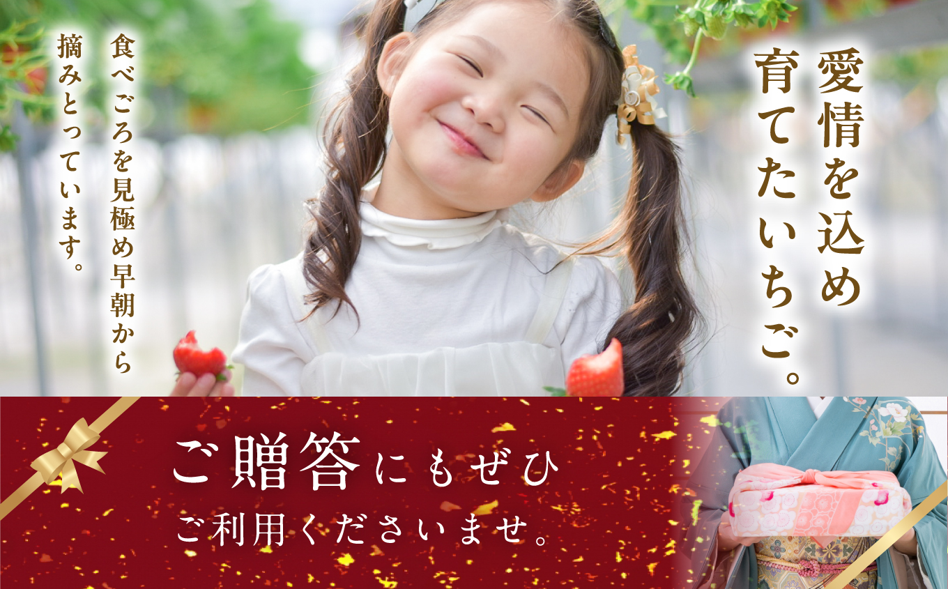 まるなかファーム×人気酒造 Koichigoリキュール 300ml×1本 いちご 酒 リキュール liqueur ストロベリー 日本酒 セット 苺 イチゴ フルーツ 果物 おすすめ お中元 お歳暮 ギフト 二本松市 ふくしま 福島県 送料無料【まるなかファーム株式会社】