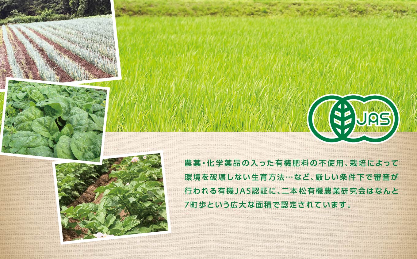 ã2026幎11æä»¥éé æ¬¡çºéã人å5kg ãªãŒã¬ããã¯ ææ©æ œå¹ ææ© ææ©JAS ææ©éè éè 人å ã«ããã 5kg ãããã ãäžå
ãæ³æ® ã®ãã äºæ¬æŸåž ãµãã㟠çŠå³¶ç éæç¡æãäžè¬ç€Ÿå£æ³äººäºæ¬æŸææ©èŸ²æ¥ç ç©¶äŒã