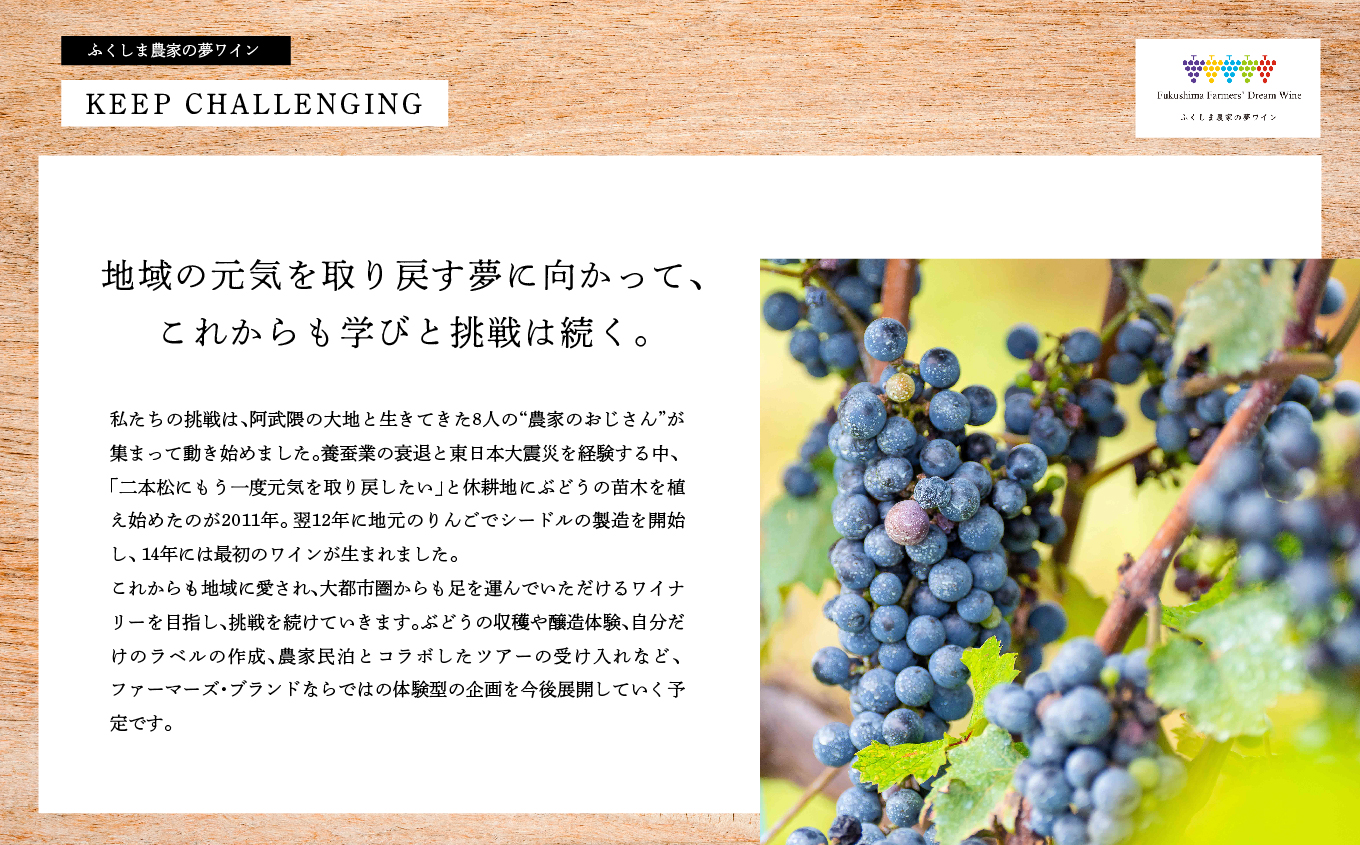 シードルセット（ふじりんご／つがるりんご） ワイン 飲みやすい シードル お酒 グルメ プレゼント 人気 ランキング おすすめ ギフト 故郷 ふるさと 納税 福島 ふくしま 二本松市 送料無料【ふくしま農家の夢ワイン株式会社】