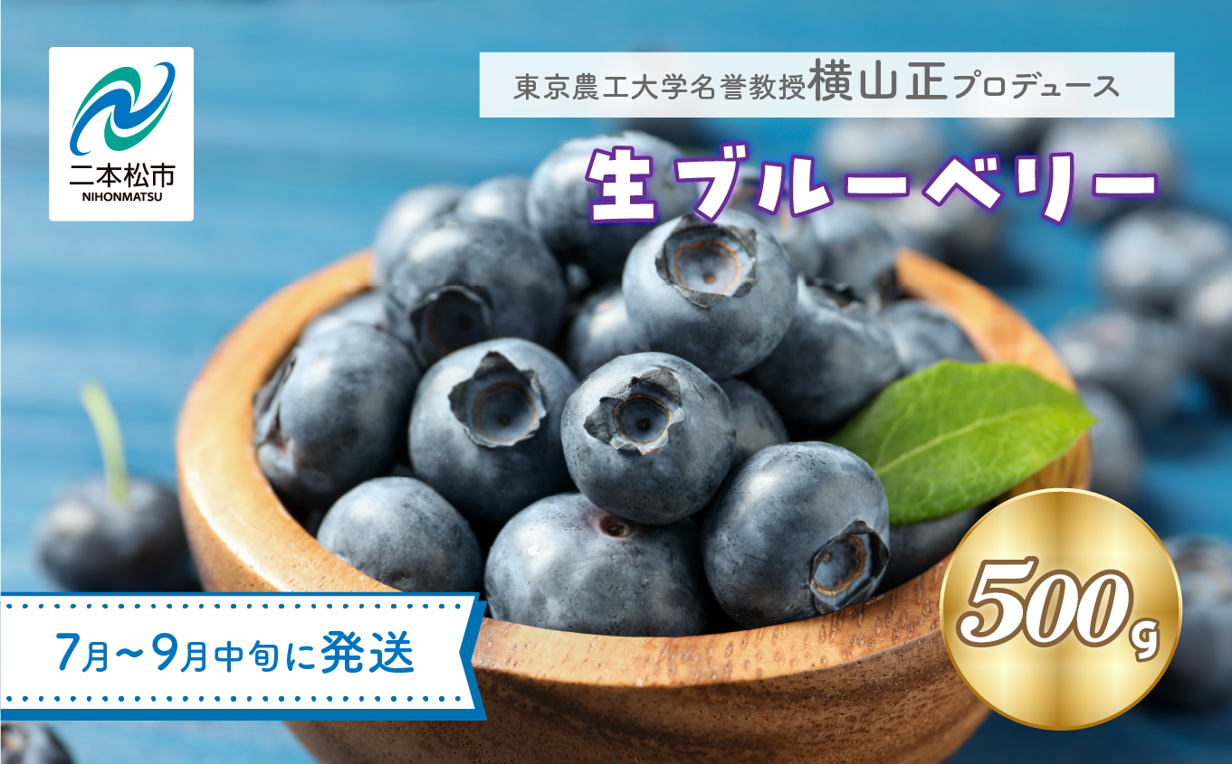 《2025年7月以降順次発送》東京農工大学名誉教授「横山　正」ブランドのブルーベリー果実500g（品種おまかせ） ブルーベリー 産地 直送 新鮮 大粒 パン トースト 農家 完熟 果物 おすすめ お中元 お歳暮 ギフト 送料無料 二本松市 ふくしま 福島県 送料無料【東和ブルーベリー研究農園】