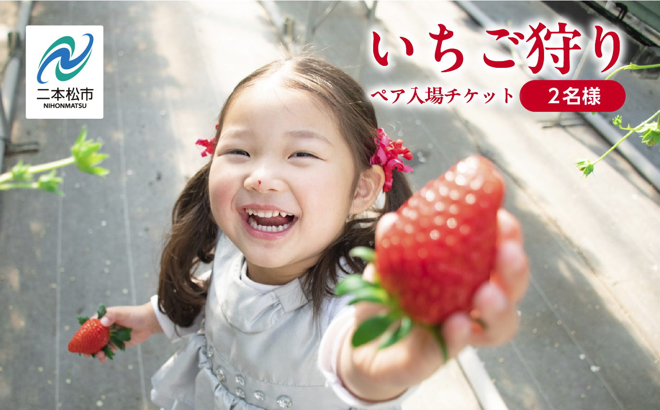 《2026年1月3日～5月23日開園》いちご狩りペア入場チケットいちご狩りペア入場チケット いちご ストロベリー いちご狩り 苺 イチゴ フルーツ 果物 おすすめ お中元 お歳暮 ギフト 二本松市 ふくしま 福島県 送料無料【まるなかファーム株式会社】