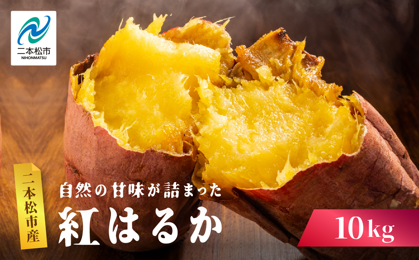 自然の甘みがぎゅっと詰まった さつまいも 紅はるか 10kg 焼き芋 スイーツ 冷凍 やきいも  野菜 サツマイモ 農家直送 新鮮 いも イモ おすすめ お中元 お歳暮 ギフト 二本松市 ふくしま 福島県 送料無料【株式会社橋本】