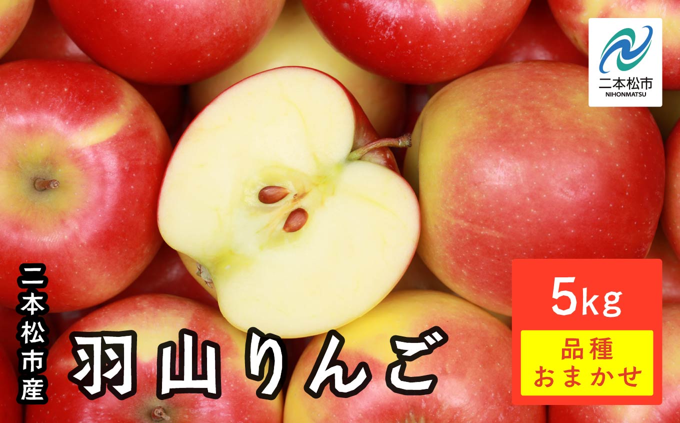 《2026年9月下旬以降順次発送》羽山りんご 品種おまかせ(早生・中早生)  5? りんご リンゴ 林檎 国産りんご フルーツ 果物 人気 ランキング おすすめ ギフト 故郷 ふるさと 納税 福島 ふくしま 二本松市 送料無料【羽山果樹組合】
