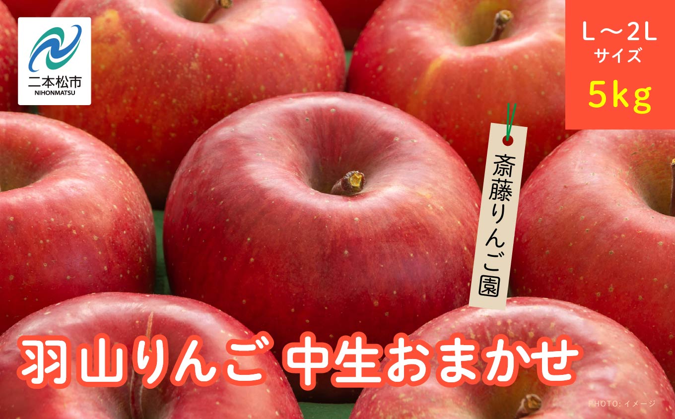 《2026年10月以降順次発送》羽山のりんご　中生おまかせL〜2Lサイズ5kg りんご リンゴ 果物 フルーツ 羽山りんご 5kg 早生ふじ ふじ 人気 くだもの おすすめ お中元 お歳暮 ギフト 二本松市 ふくしま 福島県 送料無料【斎藤りんご園】