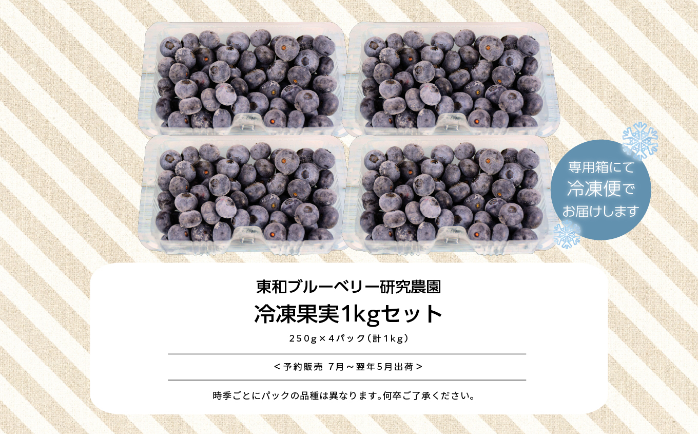 《2025年7月以降順次発送》東京農工大学名誉教授「横山　正」ブランドのブルーベリー冷凍果実1kg（品種おまかせ） ブルーベリー フルーツ 果物 冷凍果実 おすすめ お中元 お歳暮 ギフト 二本松市 ふくしま 福島県 送料無料【東和ブルーベリー研究農園】