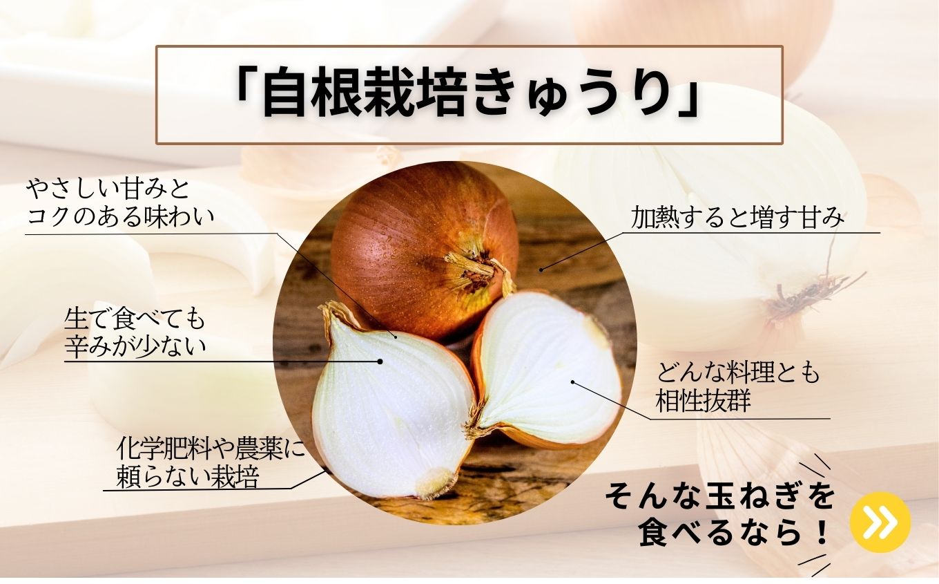 ã2026幎8æäžæ¬ããé æ¬¡çºéãææ©ããŸãã10kg ããŸãã çãã ã¿ããã® éè é£å ããã æ¬ æ°é®® ç£å°çŽé ãããã ãäžå
ãæ³æ® ã®ãã äºæ¬æŸåž ãµãã㟠çŠå³¶ç éæç¡æã西谷ããšã蟲åã