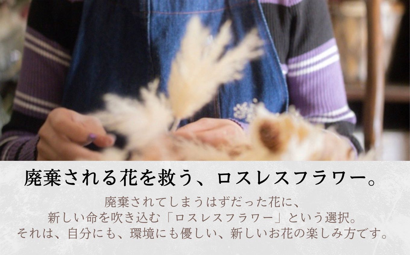 ããã©ã¯ãŒè£
食1çŽæèœå£«ãä»ç«ãŠããå£ç¯ãéã蟌ãããã©ã€ãã©ã¯ãŒããŒã± è±æ è± ãã©ã¯ãŒ ããŒã± ã€ã³ããªã¢ ã¹ã¯ãã° ãã©ã¯ãŒã¹ã¯ãã° å£æã é貚 ããã¥ã©ã« ã¢ã³ãã£ãŒã¯ ãã¹ã¬ã¹ãã©ã¯ãŒäœ¿çš æ¯ã®æ¥ èªçæ¥ ãç¥ã ã¹ã¿ã€ãªãã·ã¥ äžå¯§ãªæ®ãã ãããã ãäžå
ãæ³æ® ã®ãã äºæ¬æŸåž ãµãã㟠çŠå³¶ç éæç¡æãè±ã«ãã§ã