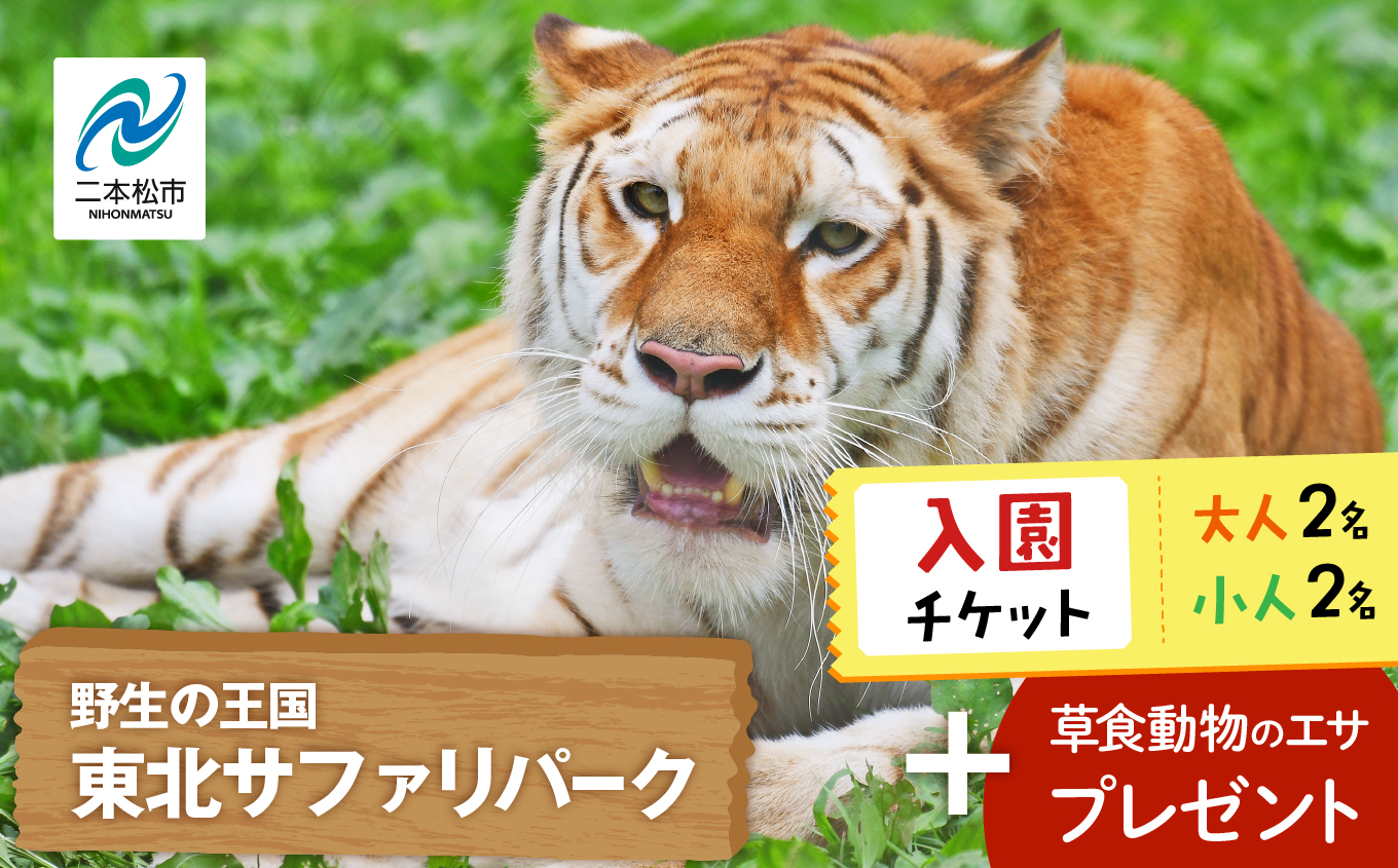 東北サファリパーク入園チケット 大人2名＋小人2名（ 入園チケット＋草食動物のエサ） 動物 動物園チケット どうぶつえん 体験 チケット 券 入場券 入園券 エサやり おすすめ お中元 お歳暮 ギフト 送料無料 二本松市 ふくしま 福島県 送料無料【株式会社東北サファリパーク】