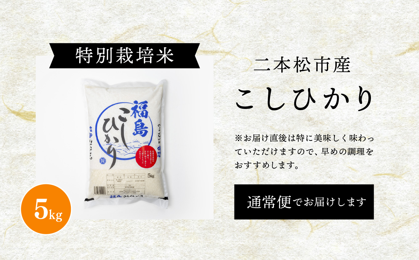 幎å
çºéå¯èœïŒïŒä»€å7å¹Žç£ ããã²ãã5kg ç±³ 粟米 ã³ã·ãã«ãª 5kg ç¹å¥æ œå¹ ãç±³ ãã ãããã ãäžå
ãæ³æ® ã®ãã äºæ¬æŸåž ãµãã㟠çŠå³¶ç éæç¡æãæ ªåŒäŒç€Ÿãã ããç±³ã