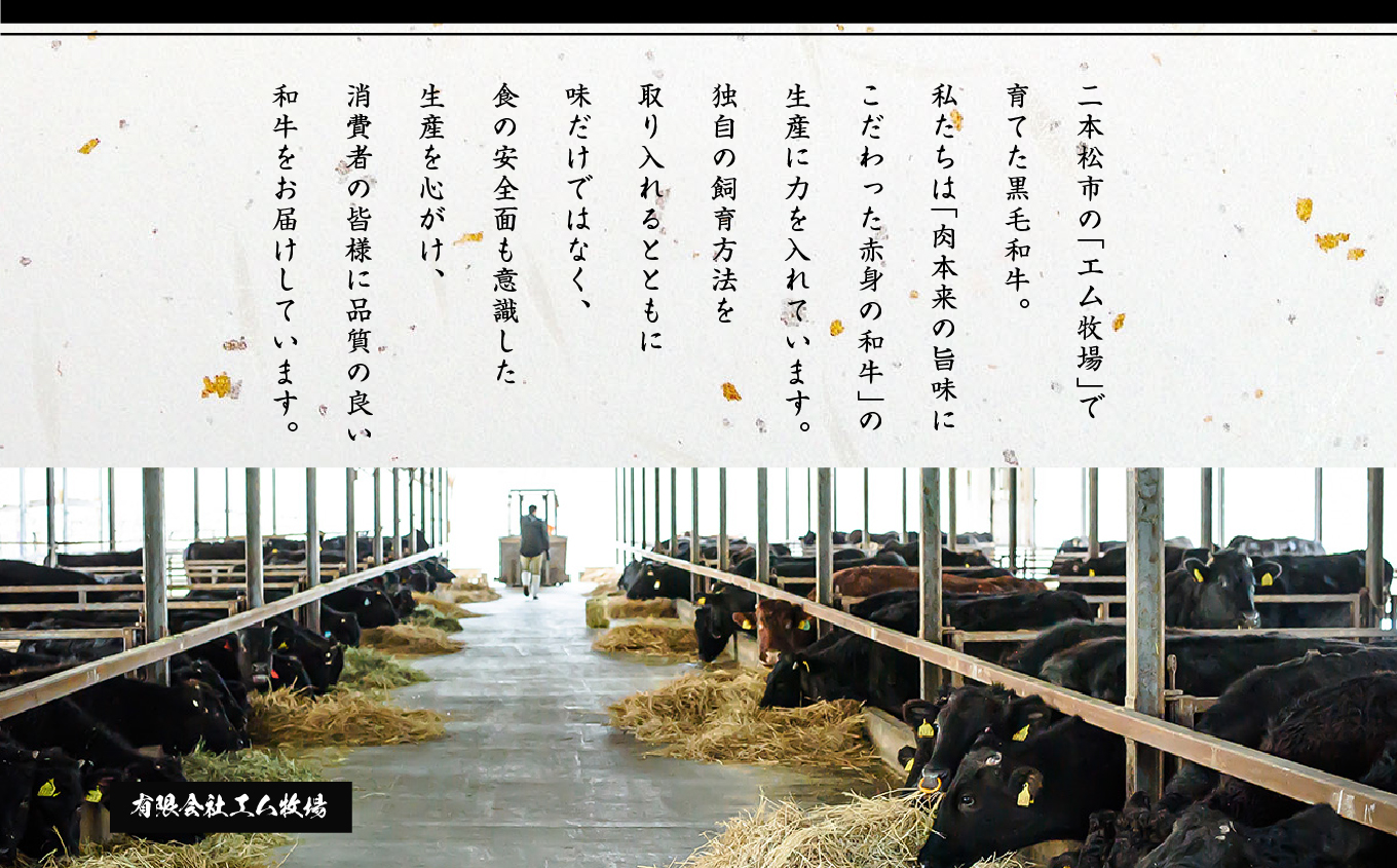 黿¯åç ãããã 2kg ïŒ500gÃ4ããã¯ïŒ çŠå³¶çäºæ¬æŸåžç£ èåã 黿¯ åç è ç çè ç䞌 åœç£ç 赀身 è身 æšå³ èåãè åãèœãšã å°åã ãšã ç§å Ž äººæ° ãããã ãµãããš çŽçš çŠå³¶ éæç¡æãæ ªåŒäŒç€Ÿã³ãŒã·ã³ã