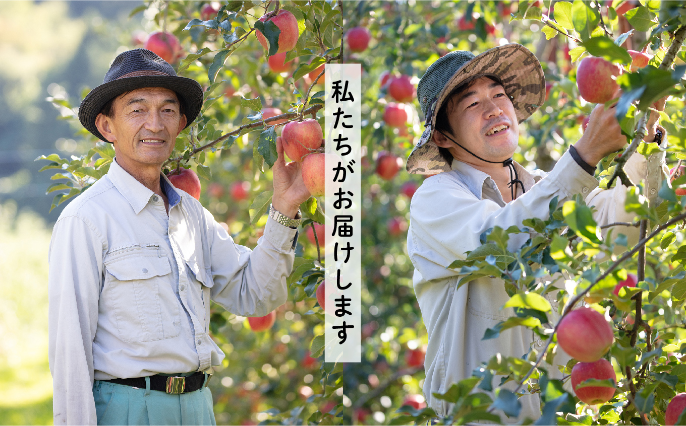 ã2026幎2æä»¥éé æ¬¡çºéã矜山ããããžã¥ãŒã¹ ç¡æ·»å ææ±100%ïŒãµãïŒ 1000ml 6æ¬ã»ãã ããããžã¥ãŒã¹ ããã ãªã³ãŽ äººæ° ã©ã³ãã³ã° ãããã ã®ãã æ
é· ãµãããš çŽçš çŠå³¶ ãµãããŸ äºæ¬æŸåž éæç¡æãæè€ãããåã