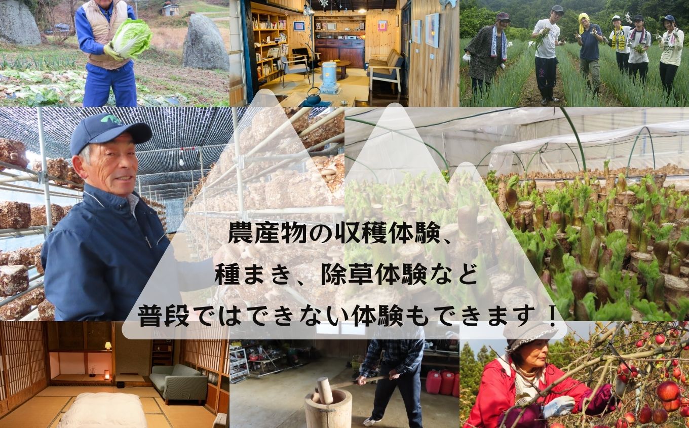 農家民宿ペア 宿泊券 1泊2日2食付き 農業体験込 2万円分 人気 ランキング おすすめ ギフト 故郷 ふるさと 納税 福島 ふくしま 二本松市 送料無料【NPO法人ゆうきの里東和ふるさとづくり協議会】
