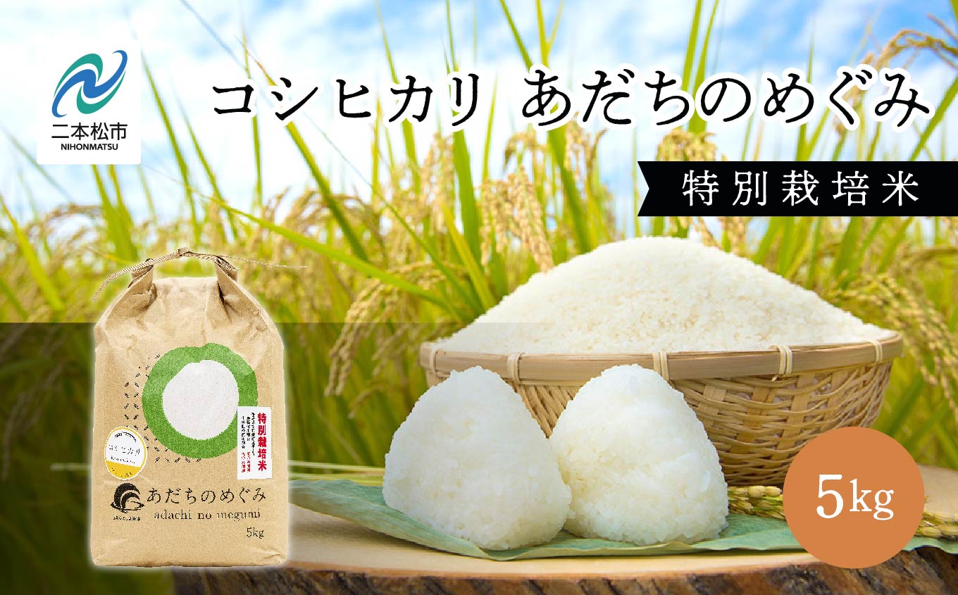 令和7年産 コシヒカリあだちのめぐみ 5kg コシヒカリ 米 白米 ふっくら 甘い 人気 ランキング おすすめ ギフト 故郷 ふるさと 納税 福島 ふくしま 二本松市 送料無料【JAふくしま未来 こらんしょ市】